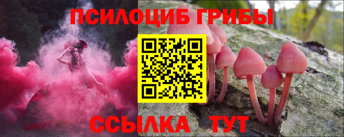 Галлюциногенные грибы ЛСД Курчатов