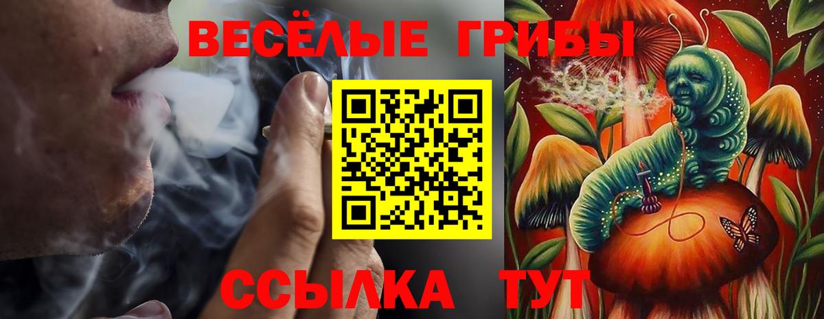 Псилоцибиновые грибы Cubensis  Вход с VPN  Курчатов  Псилоцибиновые грибы MAGIC MUSHROOMS 